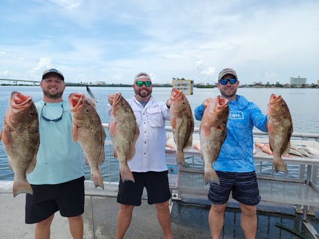 Red Snapper fishing in Clearwater, Florida