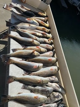 Fishing in Port O&#039;Connor, Texas