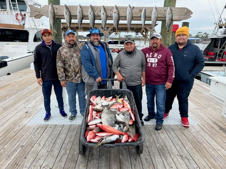 Fishing in Orange Beach, Alabama