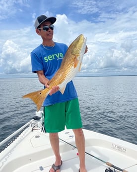 Redfish Fishing in Santa Rosa Beach, Florida, USA