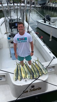 Mahi Mahi / Dorado fishing in Key Largo, Florida