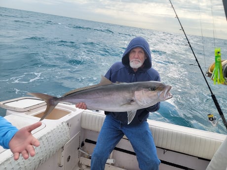 Amberjack fishing in Clearwater, Florida