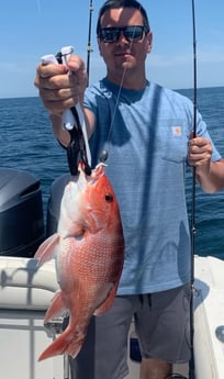 Red Snapper fishing in Destin, Florida