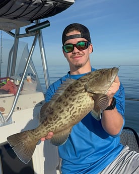 Gag Grouper Fishing in Belleair Bluffs, Florida