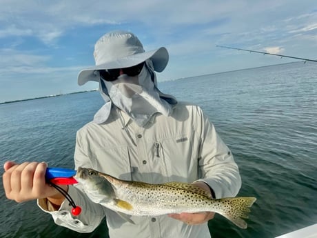 Fishing in St. Petersburg, Florida