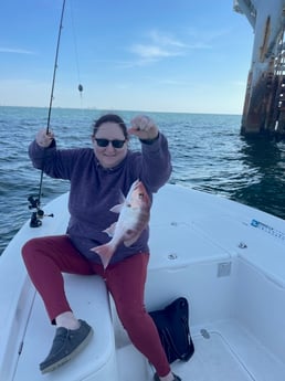 Lane Snapper Fishing in Gulf Shores, Alabama