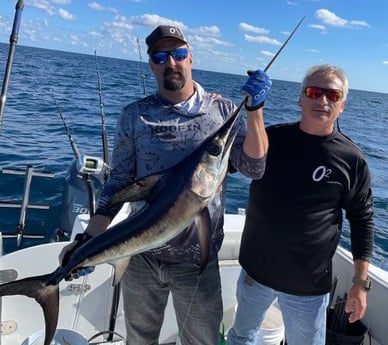 Swordfish fishing in Freeport, Texas