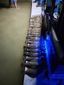 Flounder Fishing in Rio Hondo, Texas