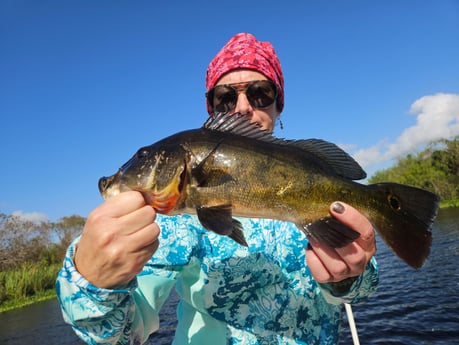 Fishing in Fort Lauderdale, Florida