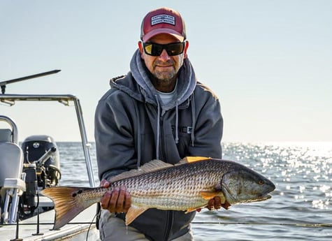 Redfish fishing in Tallahassee, Florida