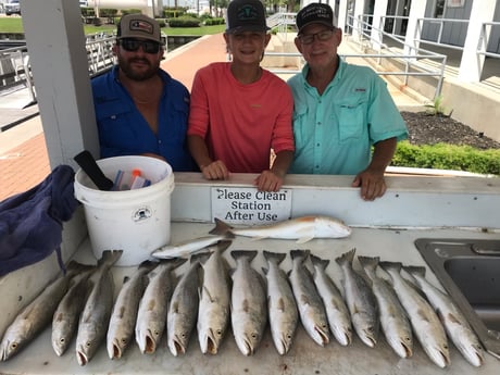 Redfish, Speckled Trout / Spotted Seatrout fishing in Galveston, Texas