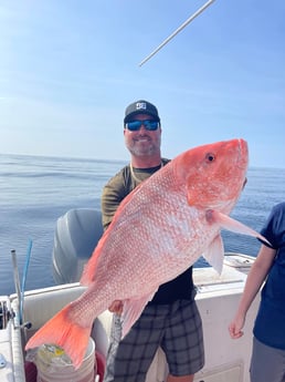 Red Snapper Fishing in Clearwater, Florida