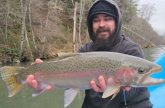 Rainbow Trout Fishing in