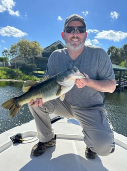 Largemouth Bass Fishing in Clearwater, Florida