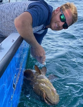 Goliath Grouper fishing in Destin, Florida