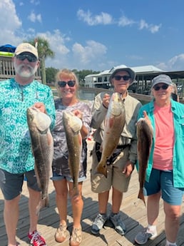 Redfish fishing in Orange Beach, Alabama