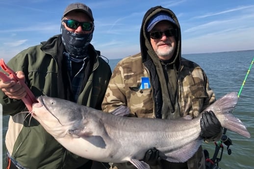 Blue Catfish fishing in Dallas, Texas