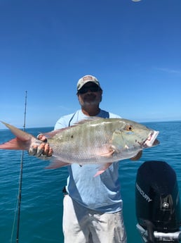 Black Grouper fishing in Key West, Florida