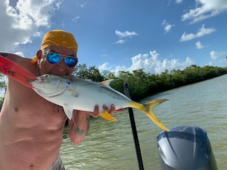 Jack Crevalle fishing in Key Largo, Florida