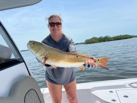 Fishing in Tarpon Springs, Florida