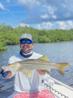 Snook fishing in Bokeelia, Florida