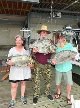 Tripletail fishing in Venice, Louisiana