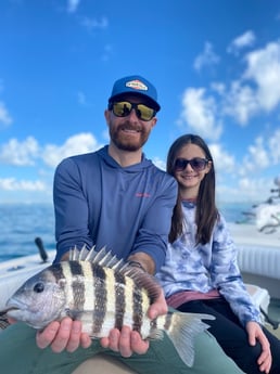 Sheepshead Fishing in Sarasota, Florida