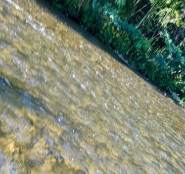 Fishing in Broken Bow, Oklahoma