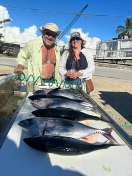 Blackfin Tuna fishing in Marathon, Florida