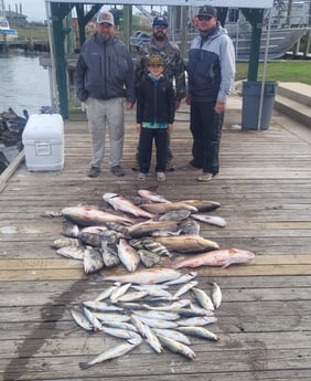 Black Drum, Redfish, Sheepshead, Speckled Trout Fishing in Sulphur, Louisiana