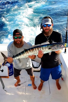 Barracuda fishing in Galveston, Texas