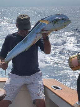 Mahi Mahi Fishing in Fort Lauderdale, Florida