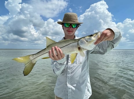 Snook Fishing in Islamorada, Florida