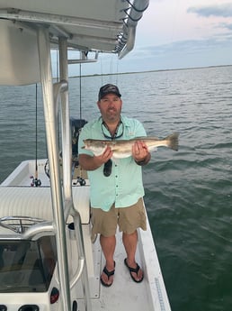 Speckled Trout / Spotted Seatrout fishing in Freeport, Texas