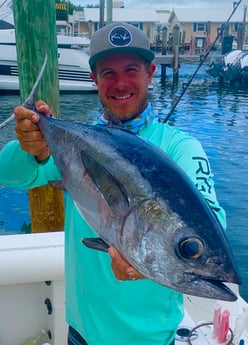 Blackfin Tuna fishing in Key West, Florida