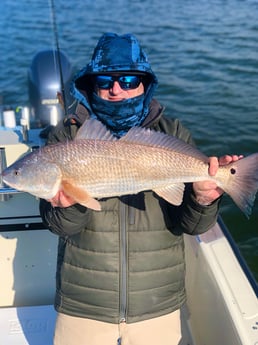 Redfish Fishing in Galveston, Texas