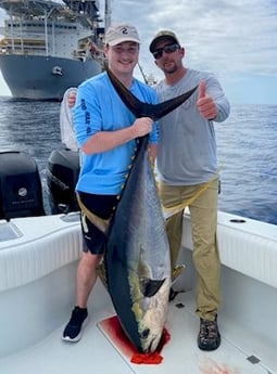 Yellowfin Tuna Fishing in Destin, Florida