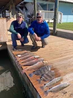 Black Drum, Redfish, Sheepshead, Speckled Trout / Spotted Seatrout fishing in Rockport, Texas