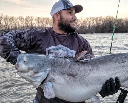 Blue Catfish fishing in Dallas, Texas