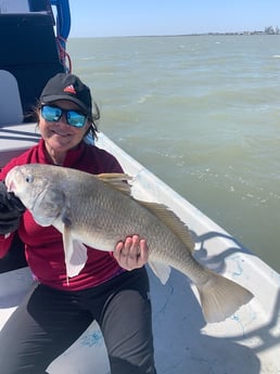 Black Drum fishing in Corpus Christi, Texas