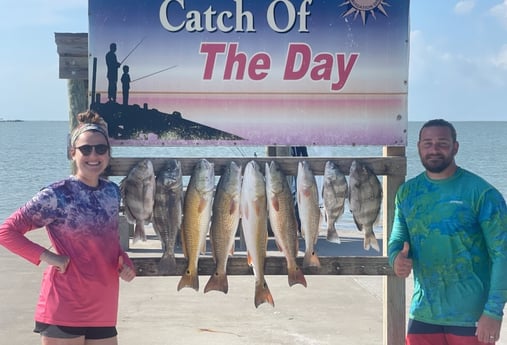 Black Drum, Redfish, Sheepshead fishing in Rockport, Texas