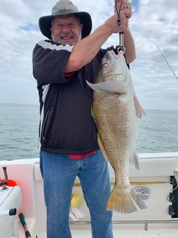 Speckled Trout / Spotted Seatrout fishing in Galveston, Texas