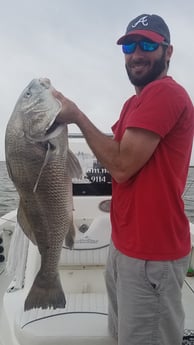 Black Drum fishing in Sulphur, Louisiana