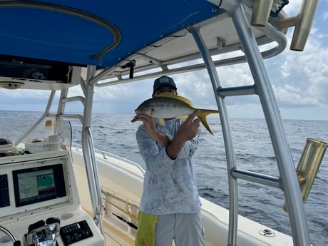 Yellowtail Snapper Fishing in Marathon, Florida