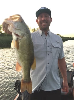 Largemouth Bass fishing in Austin, Texas