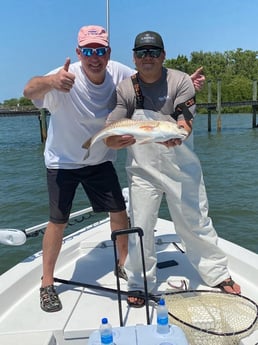 Snook fishing in Sarasota, Florida