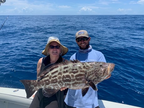 Black Grouper fishing in Key Largo, Florida