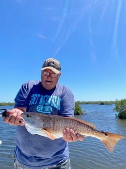 Speckled Trout / Spotted Seatrout fishing in Hudson, Florida