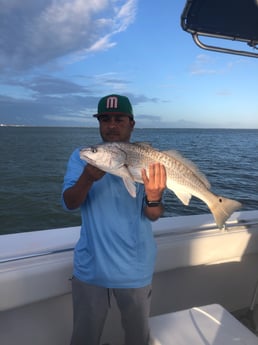 Redfish fishing in Galveston, Texas