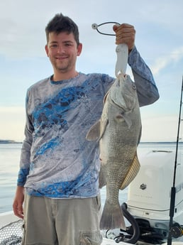 Black Drum fishing in Mount Pleasant, South Carolina